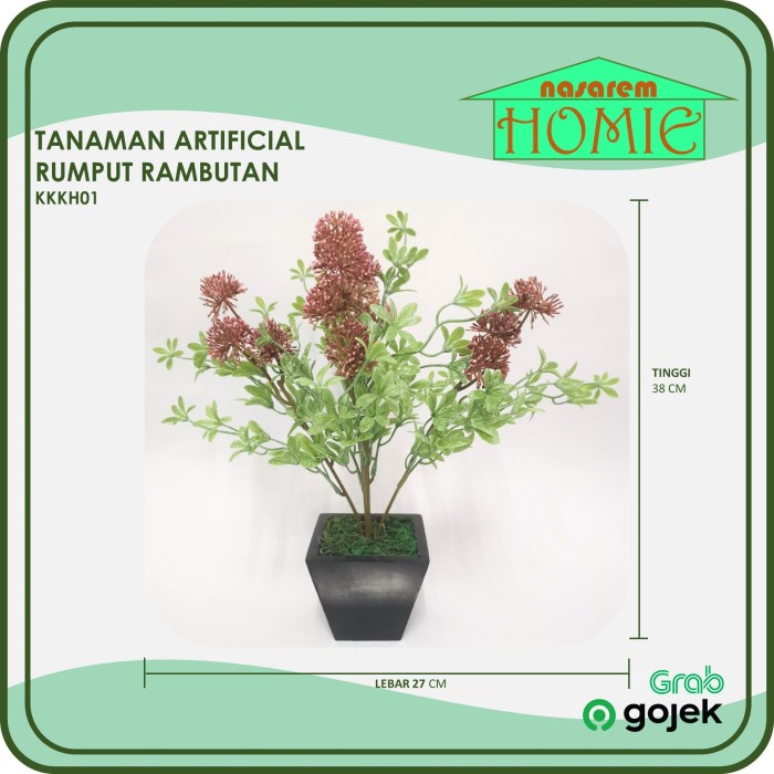 Jual TANAMAN HIAS PLASTIK ARTIFICIAL RUMPUT RAMBUTAN KKKH01 | Shopee ...
