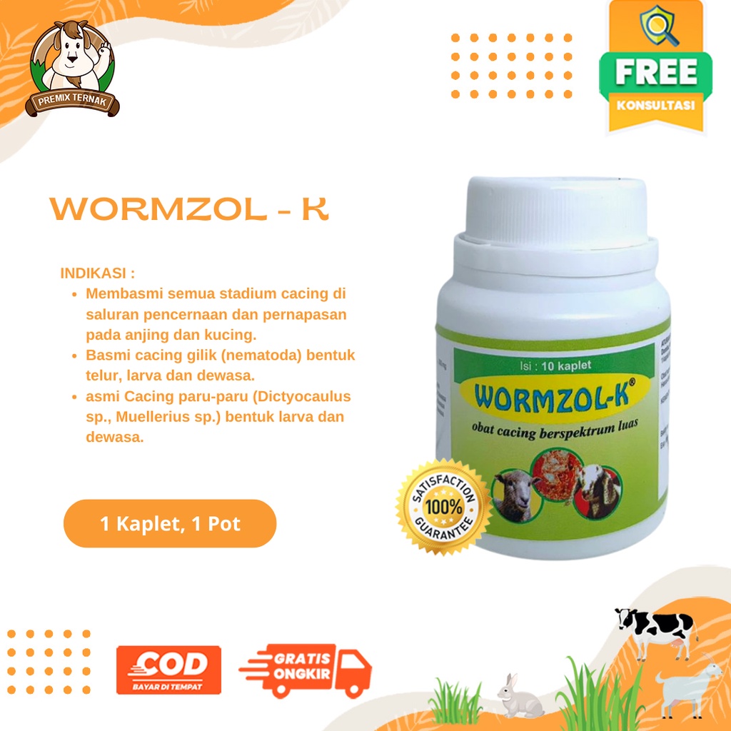 Jual WORMZOL K 10 KAPLET MEDION - Obat Cacing Kambing Domba Babi Anjing ...