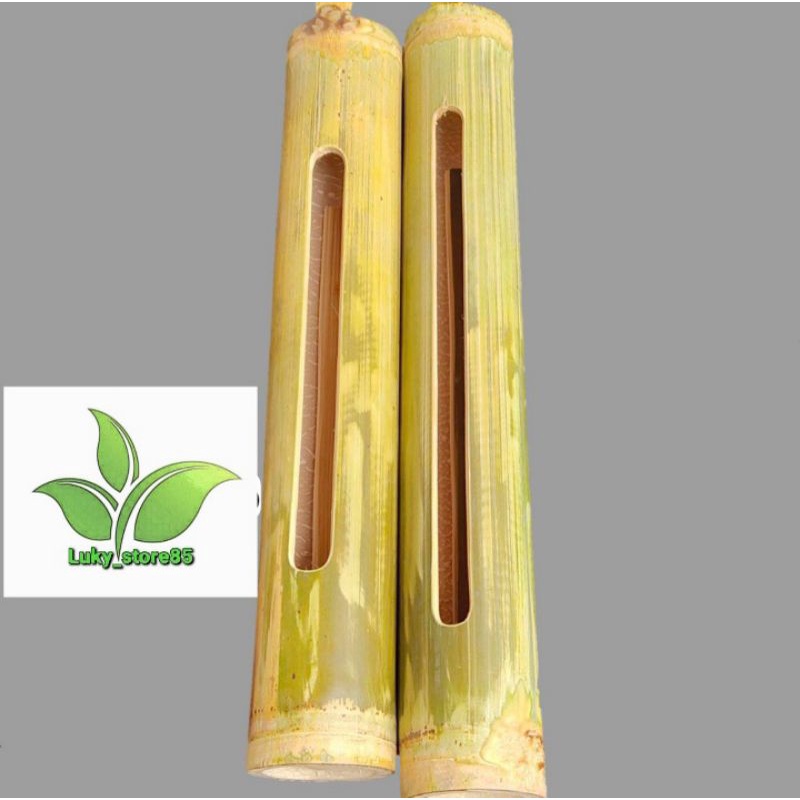 Jual BARU JUAL KENTUNGAN BAMBU ANTI MALING POS RONDA/KOHKOL BAMBU ...