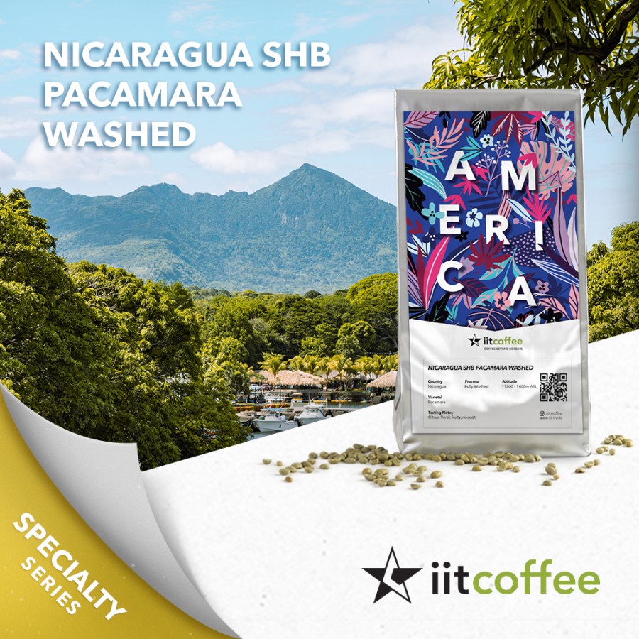 Jual Arabica Green Beans - Nicaragua SHB Pacamara Washed - 1Kg | Shopee ...