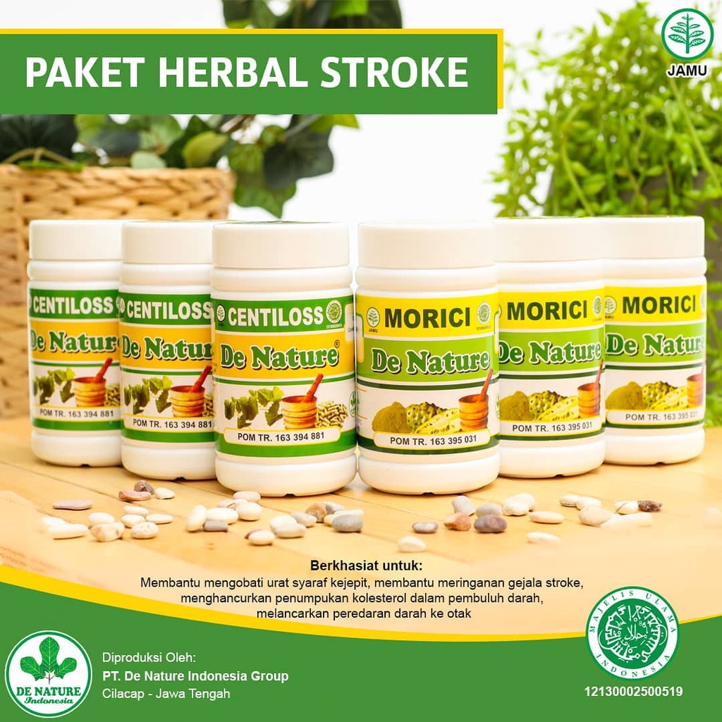 Jual Obat Stroke Syaraf Saraf Kejepit Struk Setruk Struke Strok Setrok ...