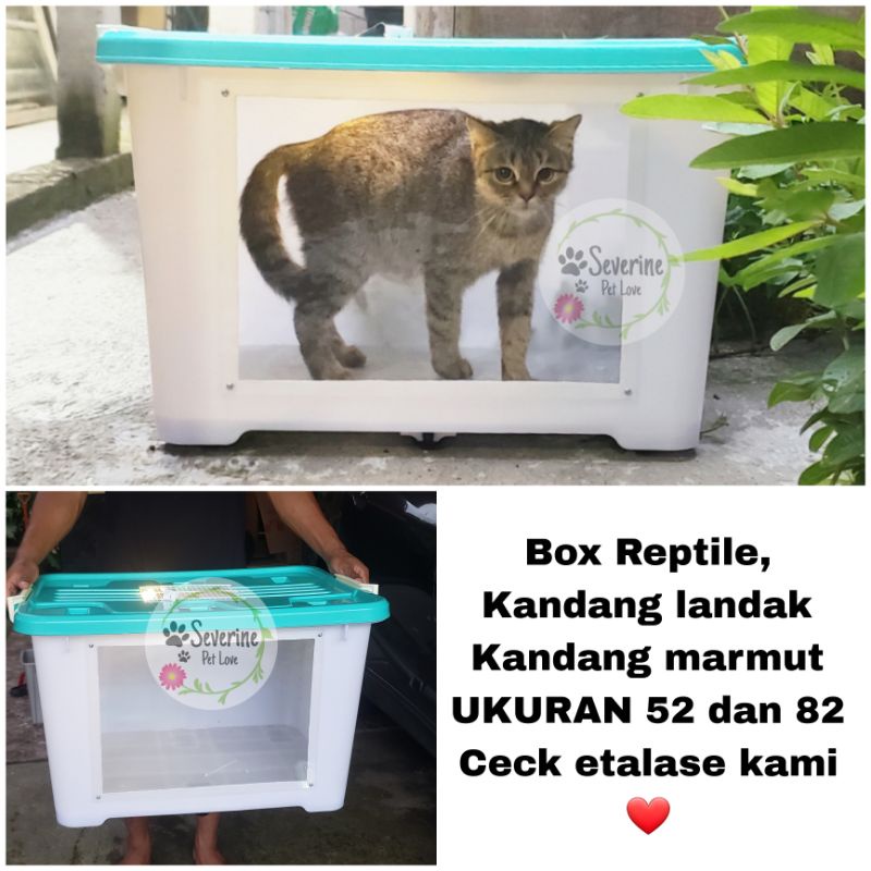 Jual BOX Reptile | box Ular kandang Ular | Box reptil | kandang biawak ...