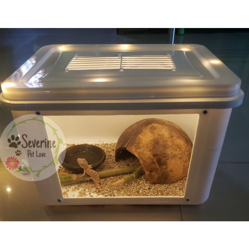 Jual box reptil Kandang gecko Box Terrarium Reptile Terarium kandang ...