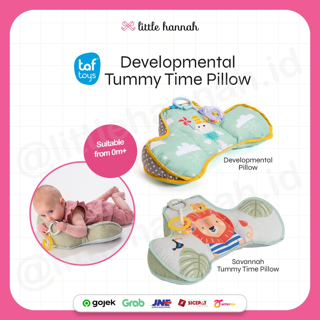 Taf toys developmental clearance pillow