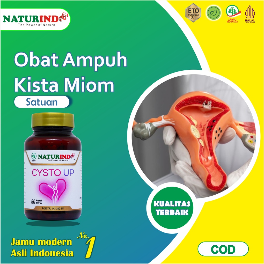 Jual Cysto Up Obat Kista Ovarium Miom Pembersih Pcos Bartholin Herbal Kista Ganglion Benjolan Di 0699