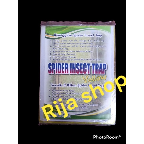 Jual Spider Insect Trap Kuning 100 lembar | Shopee Indonesia