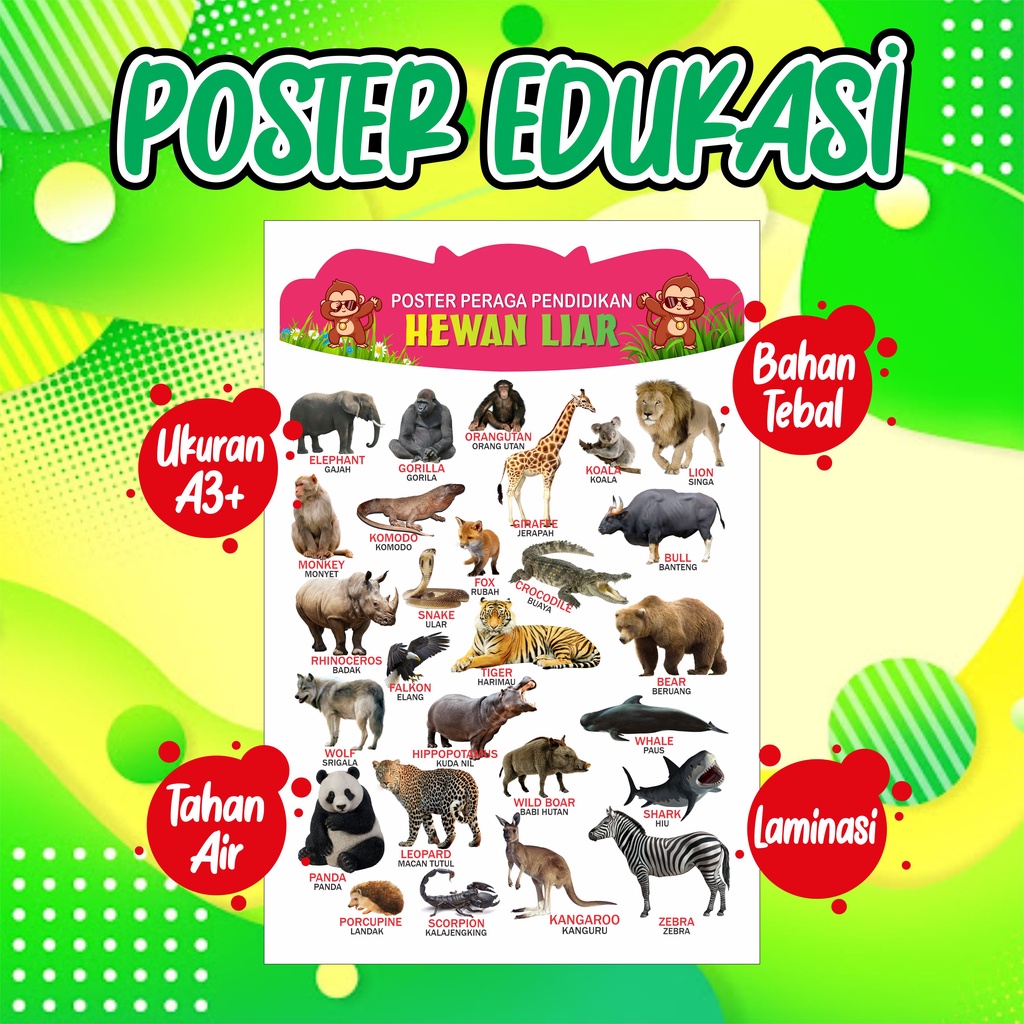 Jual Poster Edukasi Anak Mengenal Hewan Liar Untuk Pendidikan Belajar ...