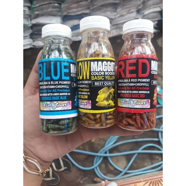 Jual Maggot Kering Warna Nutrisi Pakan Ikan | Shopee Indonesia