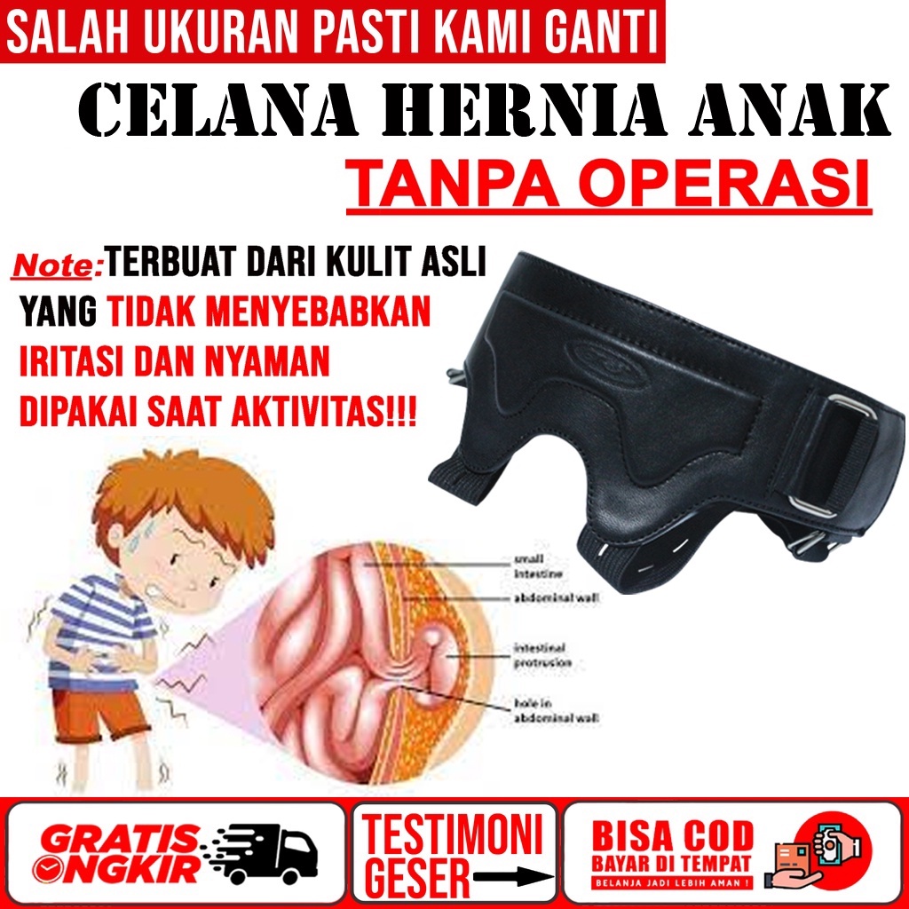 Jual Celana Hernia Sembuh Tanpa Operasi Celana Dalam Kesehatan Terapi