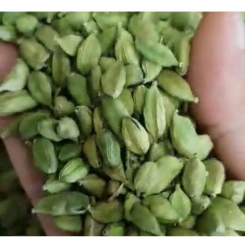 Jual green cardamom/kapulaga hijau cardex 1kg | Shopee Indonesia
