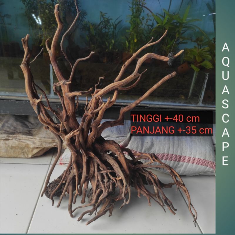 Jual Kayu Aquascape natural bonsai besar Shopee Indonesia