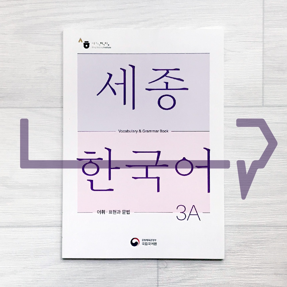 Jual Sejong Korean Vocabulary & Grammar Book 세종한국어 어휘 표현과 문법 3A (2022 ...