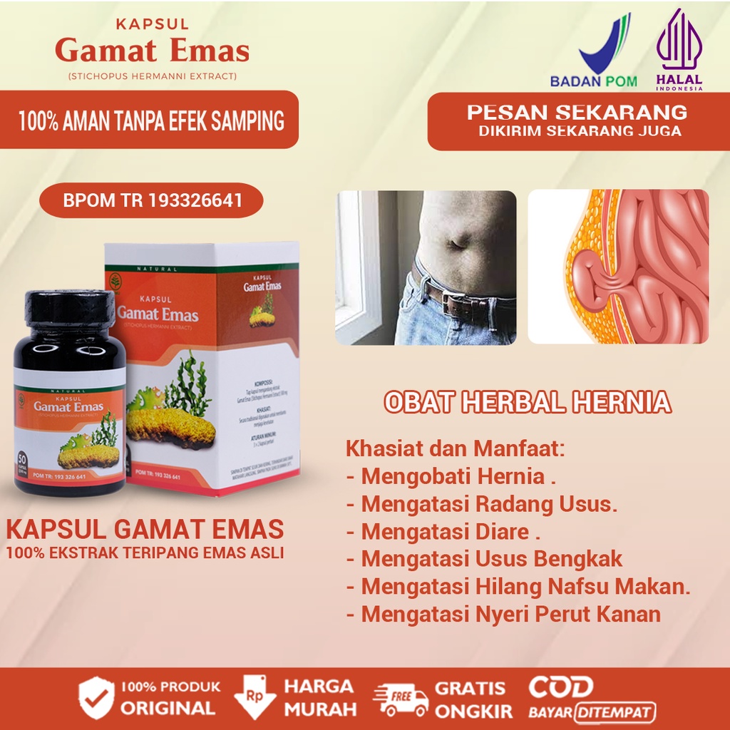 Jual Kapsul Gamat Emas Obat Hernia Radang Usus Diare Usus Bengkak Hilang Nafsu Makan Nyeri