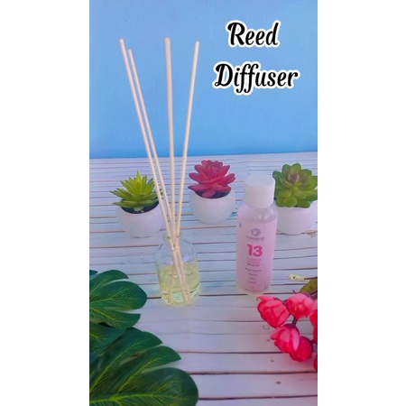 Jual Reed diffuser Minyak telon Habbie aceh 50ml | Shopee Indonesia