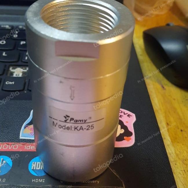 Jual INLINE CHECK VALVE PNEUMATIC 1 INCH | Shopee Indonesia