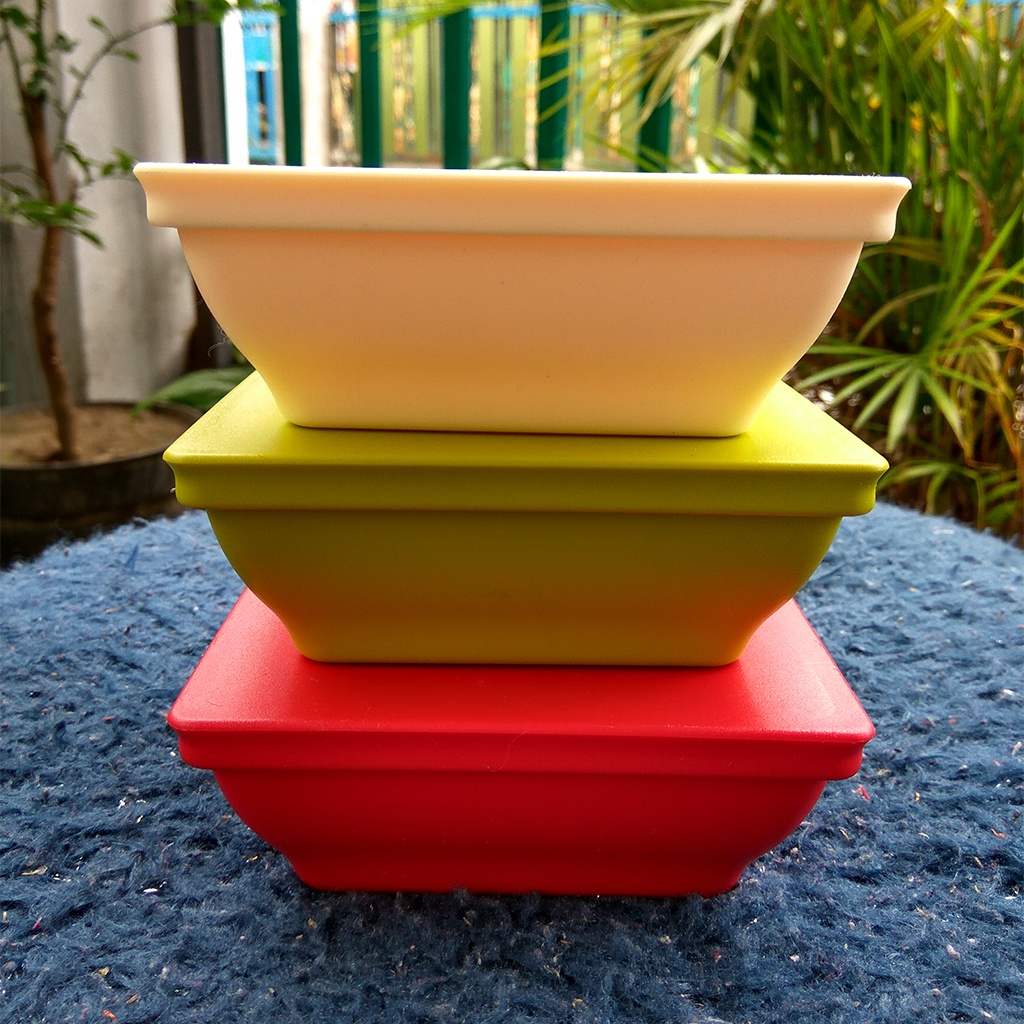 Jual TUPPERWARE Petit Ichigo 200 ML 1 Pcs | Shopee Indonesia