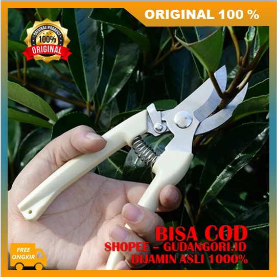 Jual Gunting Pegas Ranting Gunting Dahan Gunting Tanaman Tajam ORIGINAL ...