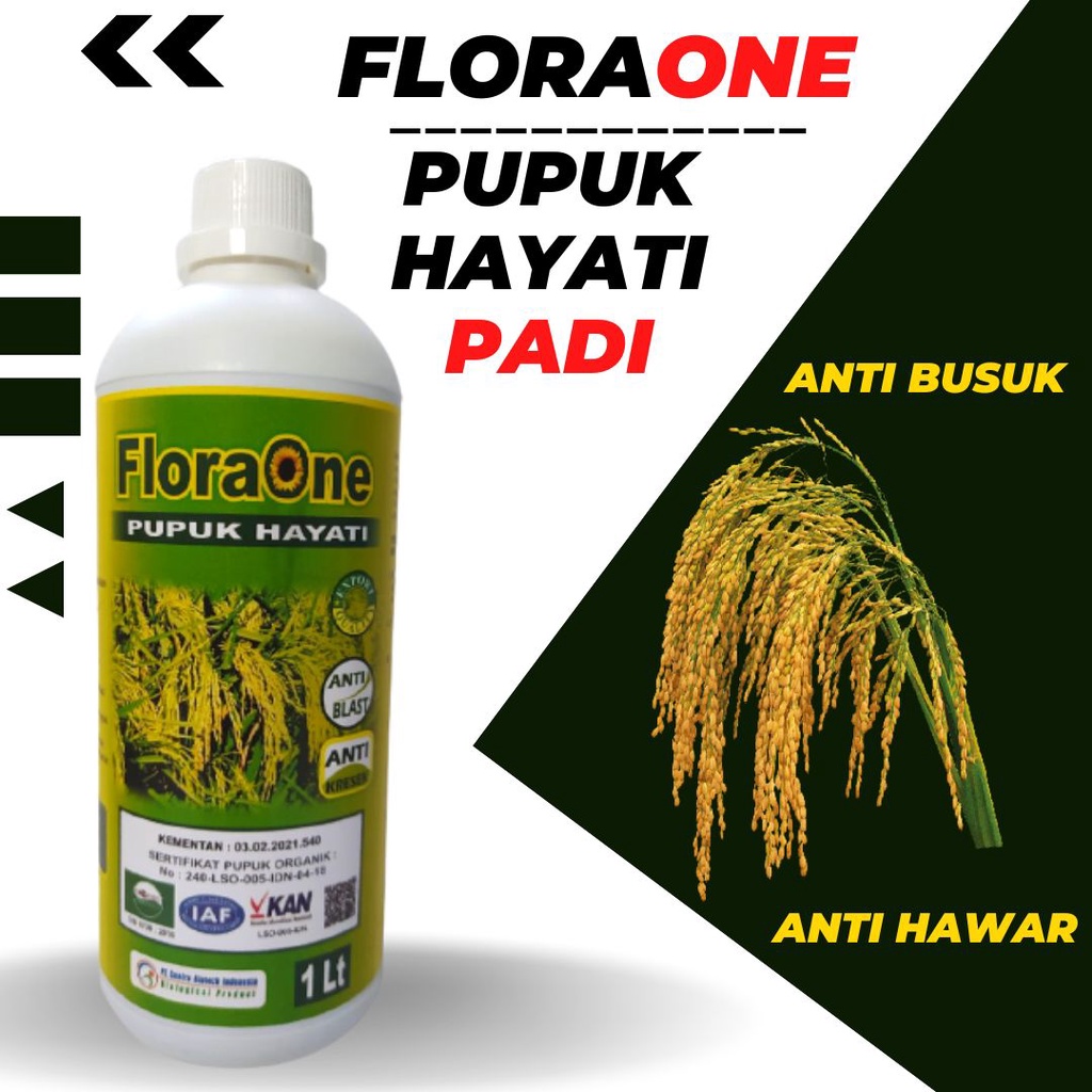 Jual Pupuk Hayati Untuk Tanaman Padi, Fungisida Hayati Untuk Penyakit