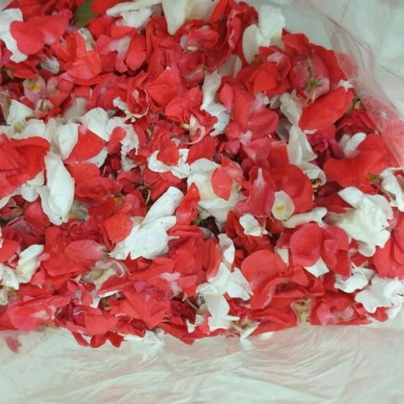 Jual Bunga Tabur Makam Untuk Pemakaman Ziarah Asli Fresh | Shopee Indonesia