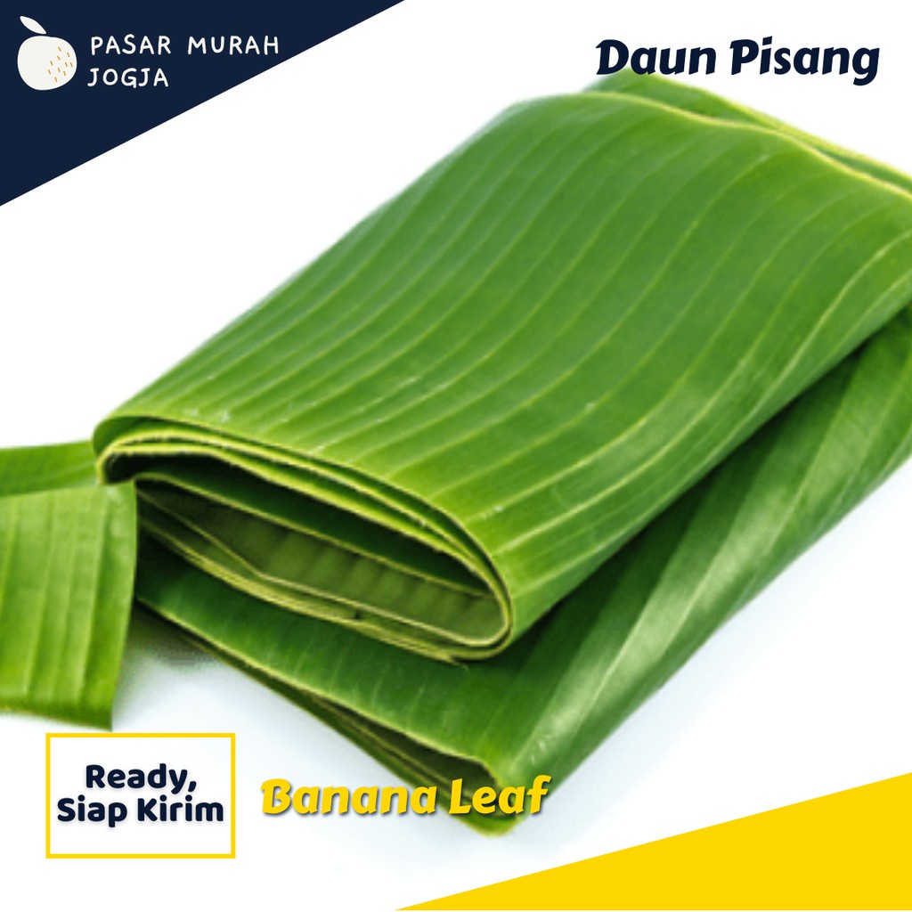 Jual Daun Pisang Muda Daun Pisang Segar Daun Pisang Fresh Daun Pisang