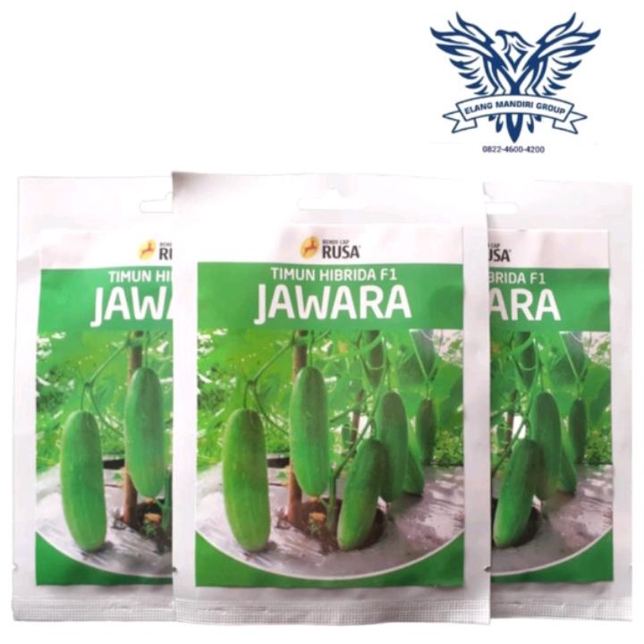 Jual Benih Bibit Biji Timun Lalap F1 JAWARA - 800 biji Cap Rusa ...