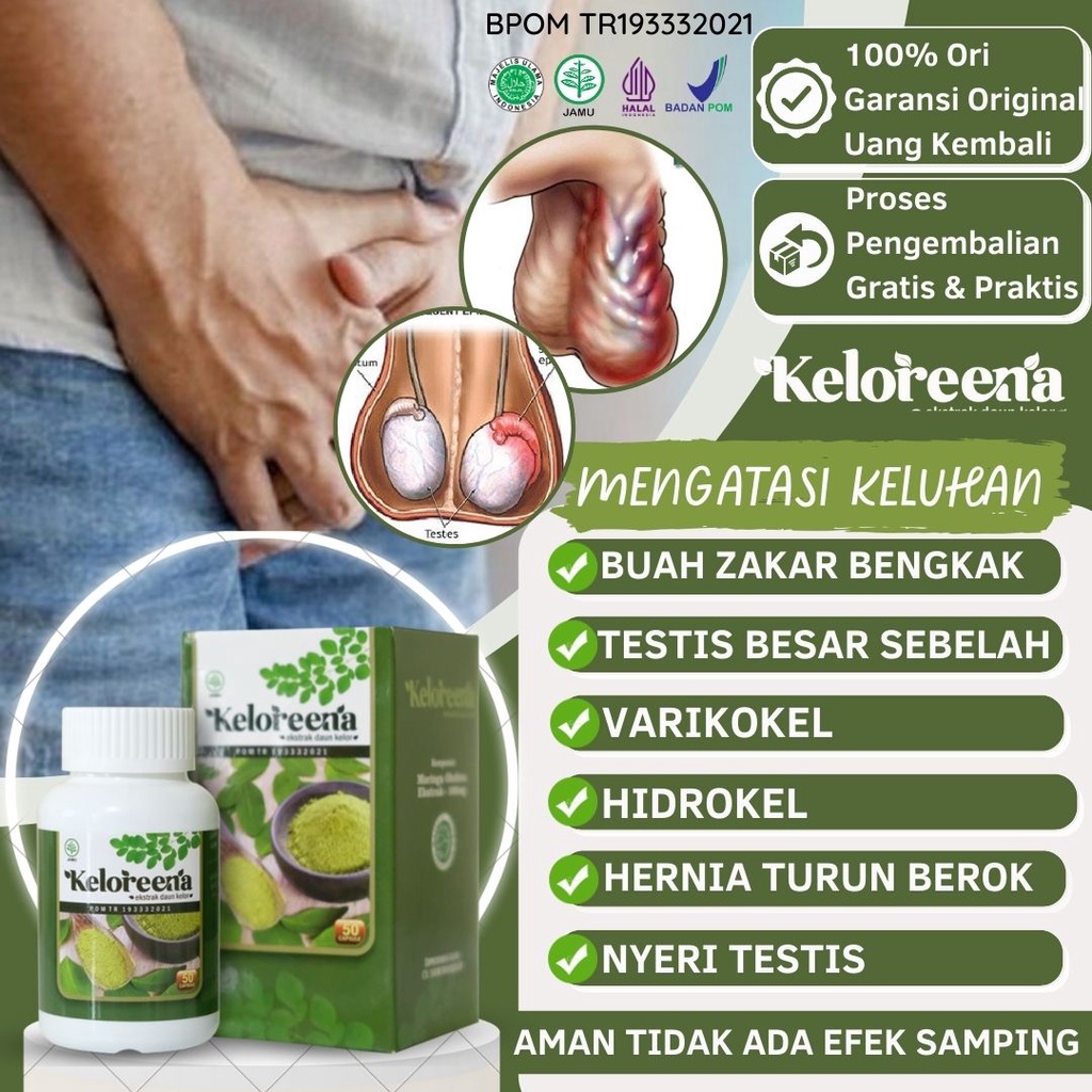 Jual Obat Buah Zakar Bengkak Sebelah Kanan Varikokel Testis Besar