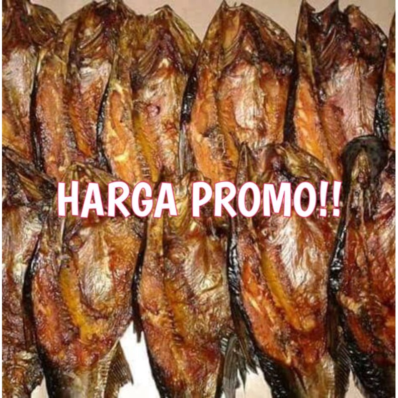 Jual Ikan Salai Baung Sungai Khas Riau | Shopee Indonesia
