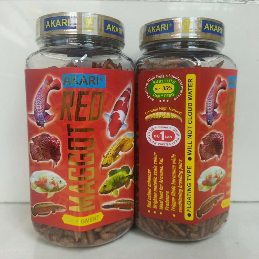 Jual MAGGOT AKARI magot pro magot red magot pet 130gr | Shopee Indonesia
