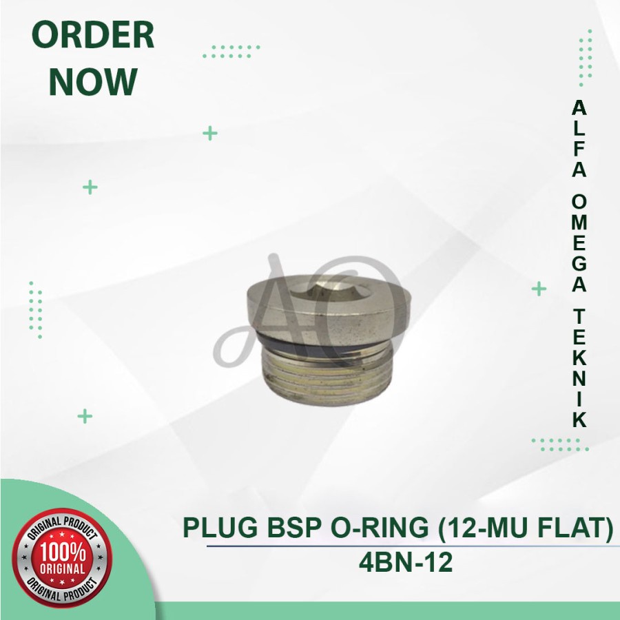 Jual PLUG FITTING MU 3/4 INCH BSP ORING NEPEL CAP SELANG HIDROLIK 3/4 ...
