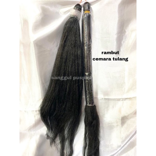 Jual Rambut Cemara Tulang / Cemara Tulang / Cemara Tulang 1,25M ...