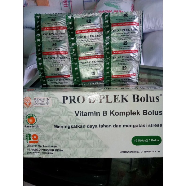 Jual Pro B Plek Bolus | Shopee Indonesia