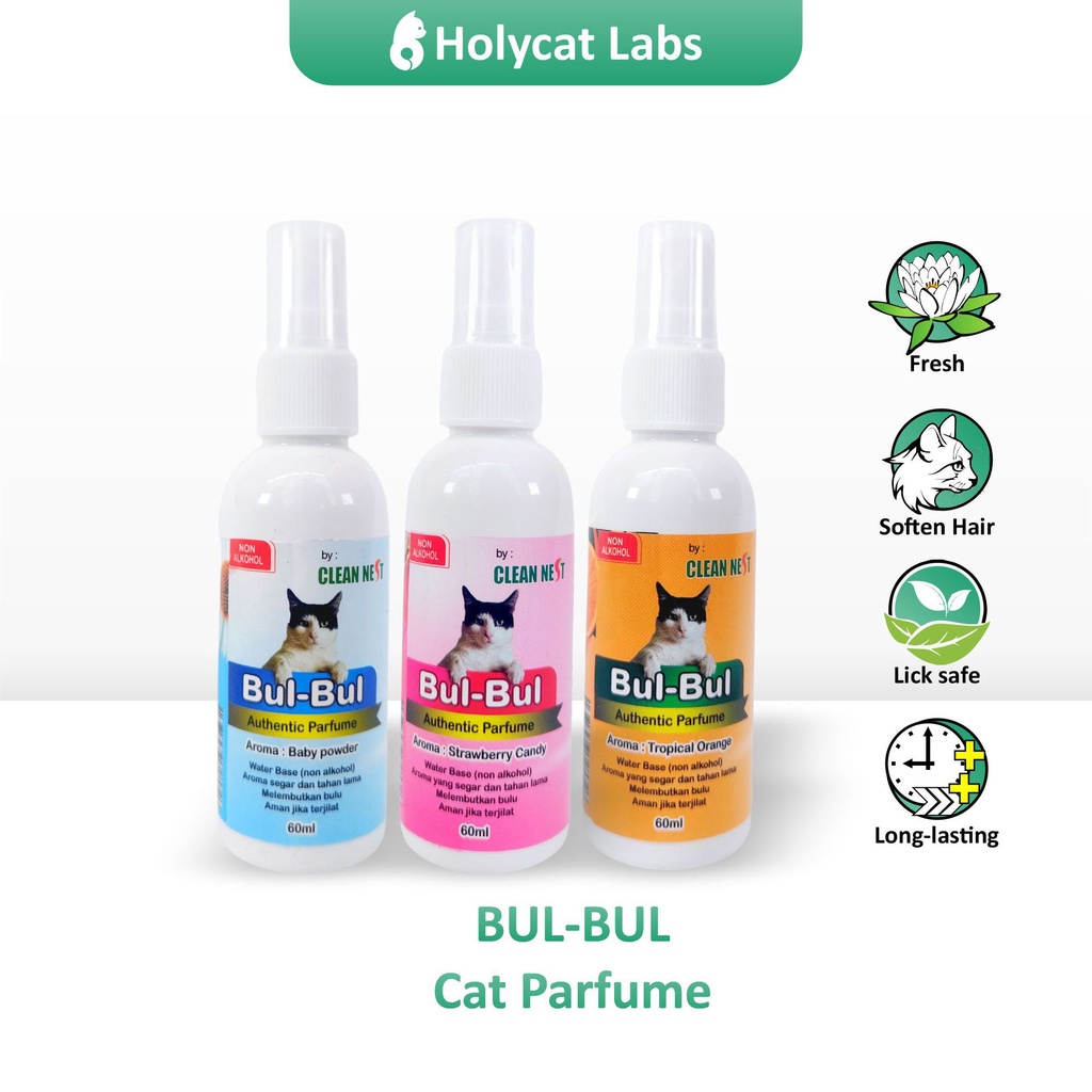 Jual Parfum Kucing BUL BUL Authentic Perfume Aman Terjilat Non Alkohol ...