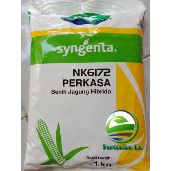 Jual Benih Jagung Hibrida NK 6172 Perkasa | Shopee Indonesia