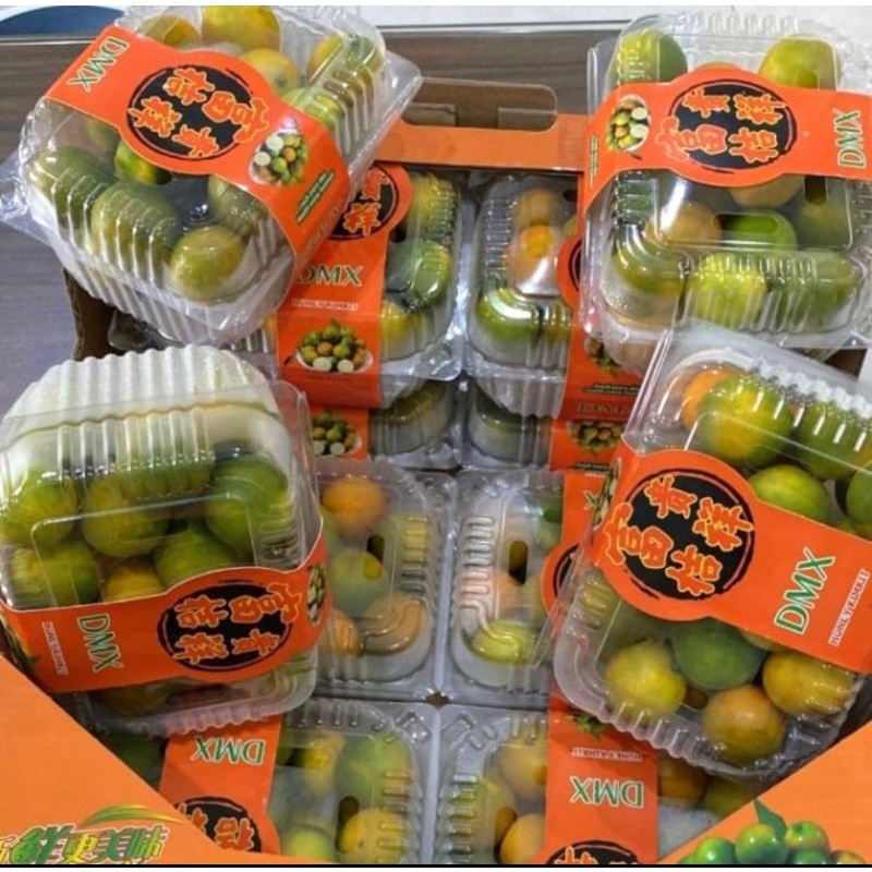 Jual PROMOOOOOOO KIMKIT Jeruk nagami|jeruk kimkit madu|nuri fruits|buah ...