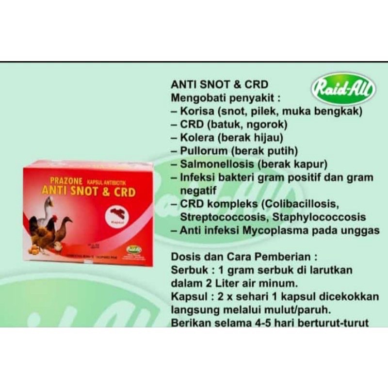 Jual Anti Snot Dan Crd Kapsul 1box Isi 30 Sachet 1 Sachet Isi 10kapsul