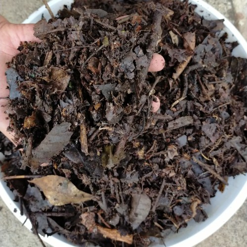 Jual andam / humus / ranting dan daun kering hutan untuk campuran media ...