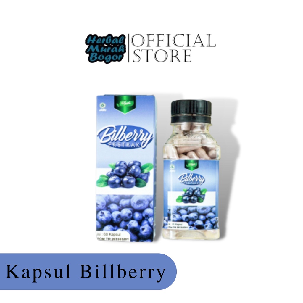 Jual Kapsul Ekstrak Bilberry Syifa 60 Kapsul Herbal Kesehatan Mata ...