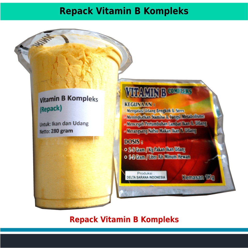 Jual Vitamin B Kompleks Ikan Dan Udang | Shopee Indonesia