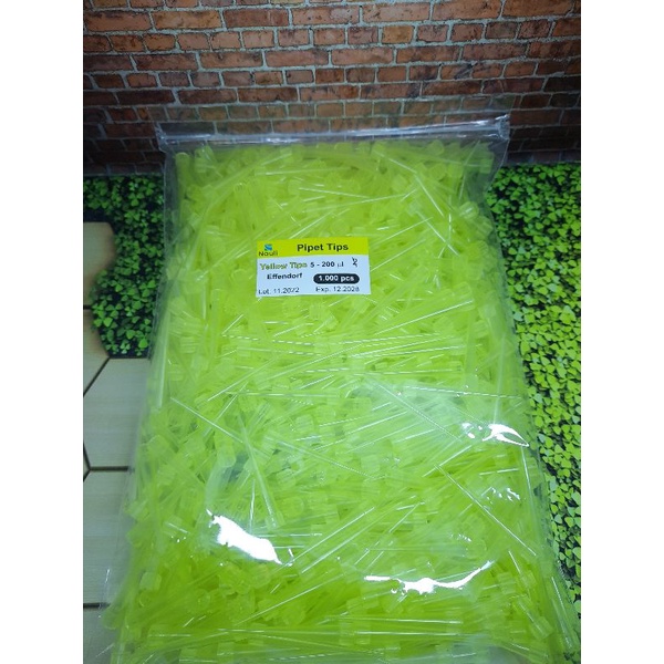Jual YELLOW TIPS 200 uL Isi 1000 Pcs | PIPET KUNING 200 uL GARANSI ...