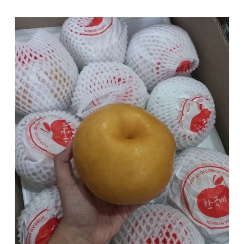 Jual Pear Korea Singo Super Jumbo Original Manis 1 Pcs Shopee Indonesia 