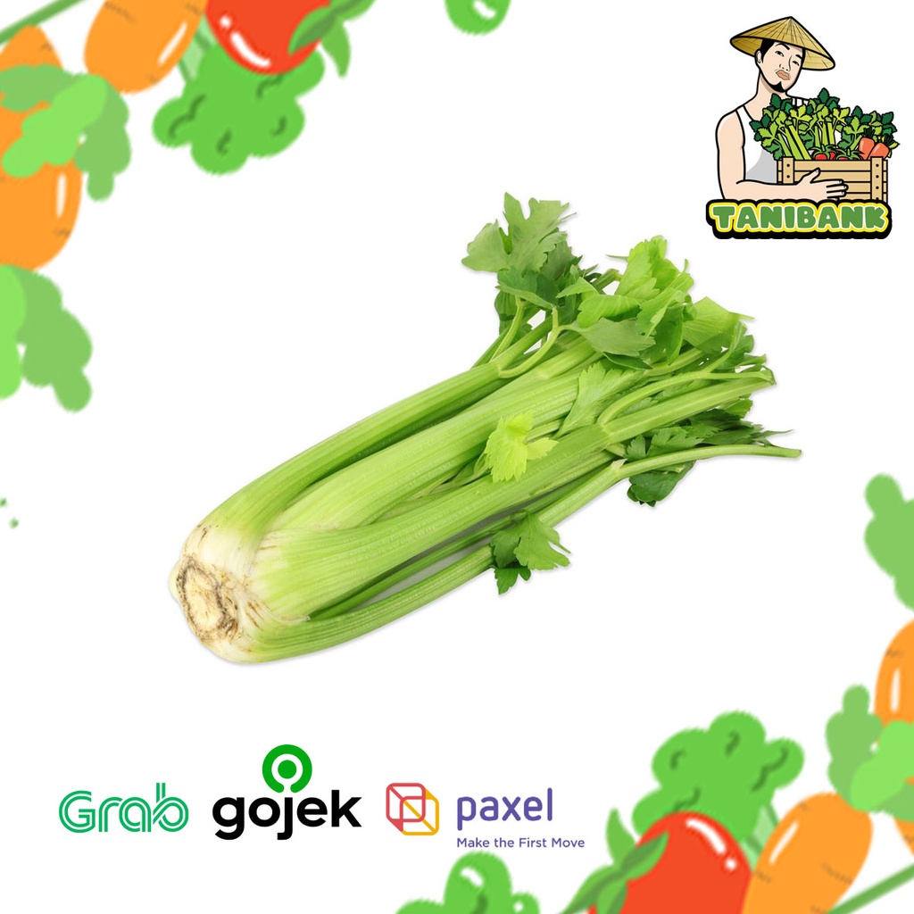Jual Celery stick / seledri stik impor China FRESH per KG Shopee