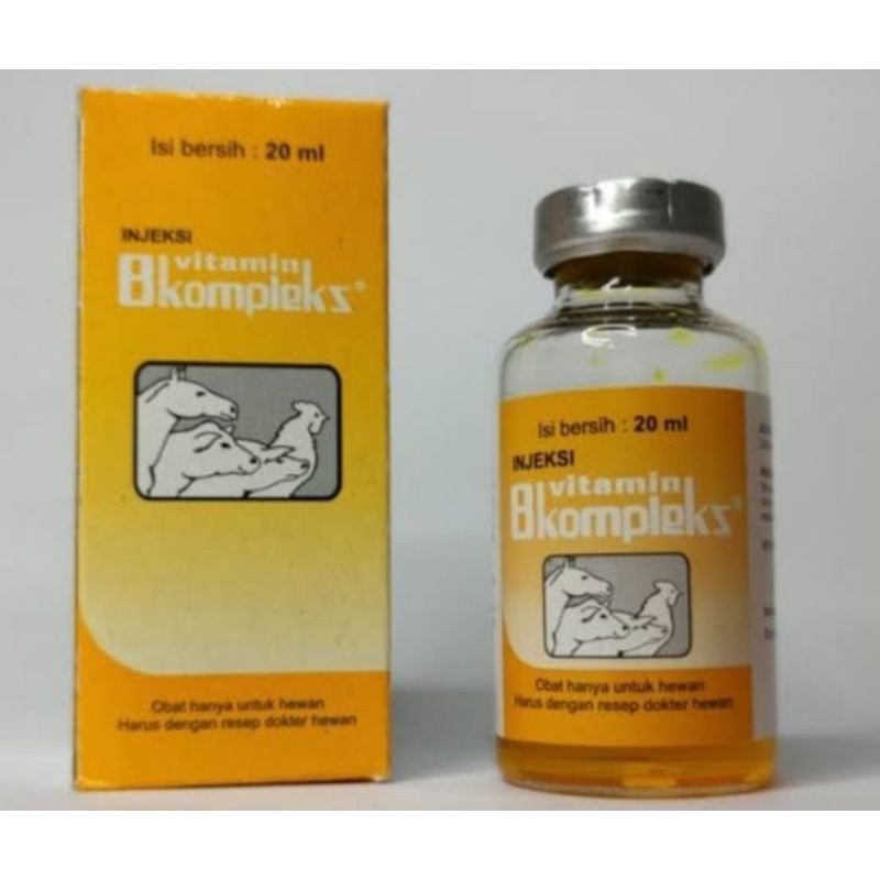 Jual Vitamin B Kompleks 20 Ml B Komplek Injek 20 Ml | Shopee Indonesia