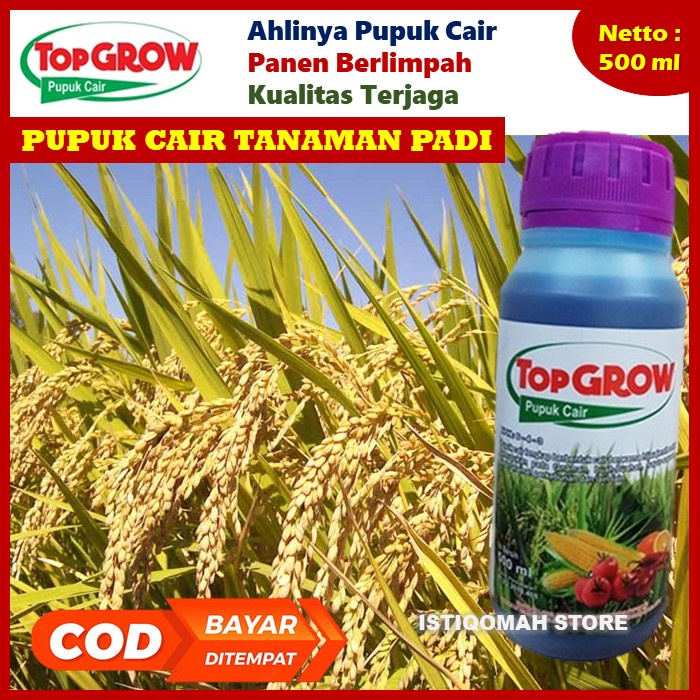 Jual Cod Bayar Di Rumah Pupuk Pelebat Padi Murah Top Grow 500ml Pupuk Ampuh Melebatkan Padi 2235