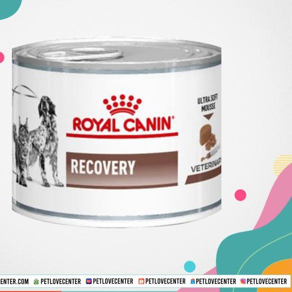Jual Royal Canin Recovery 195g / Dog Food / Cat Food Shopee Indonesia