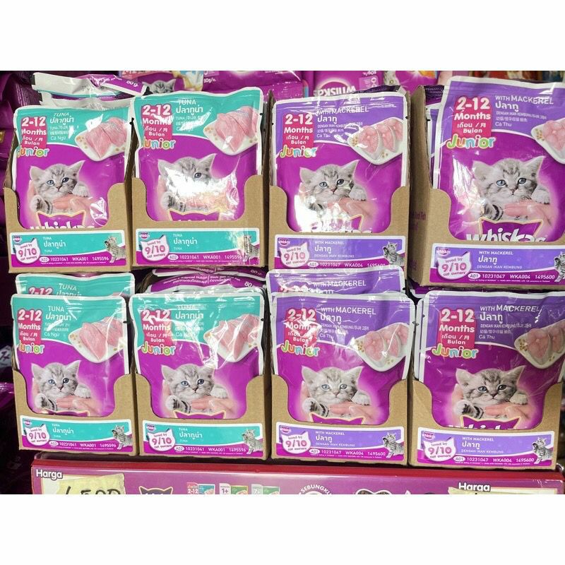 Jual Whiskas Junior 80gr (sachet) Shopee Indonesia
