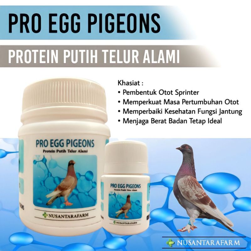 Jual Pro egg pigeons protein putih telur untuk otot merpati Shopee