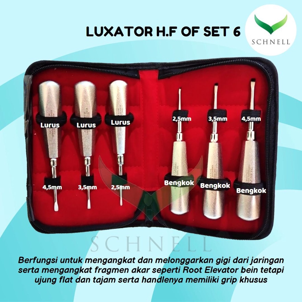 Jual Luxator H.F(set of 6 in zipper pouch)Dental Instrument | Shopee ...