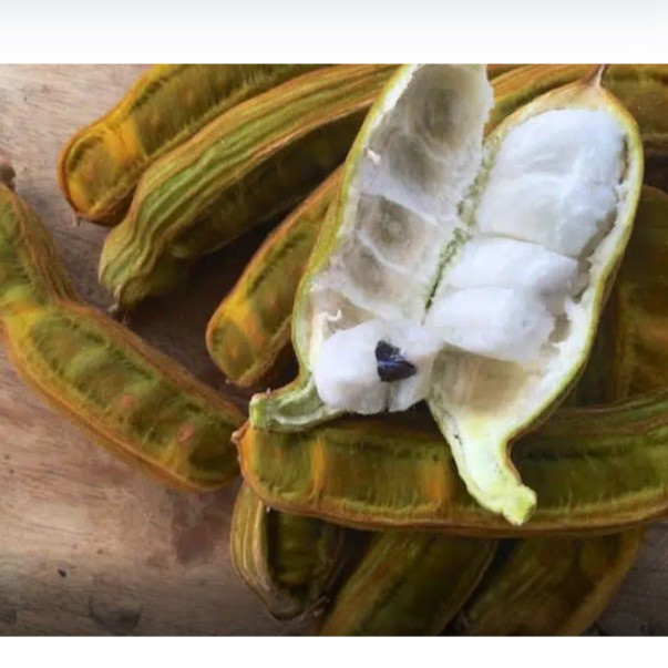 Jual LANGKA Buah Salju Kapas Ice Cream Bean BALI 1 kg Shopee Indonesia