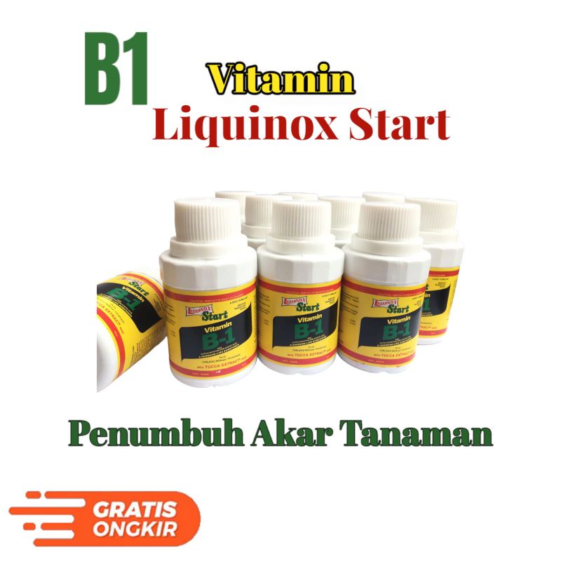 Jual Pupuk Vitamin B1 Liquinox (100ml) | Shopee Indonesia