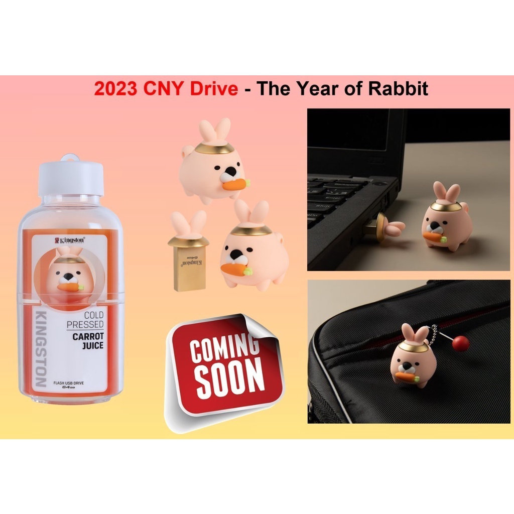 Jual KINGSTON CNY RABBIT 64GB /FLASHDISK | Shopee Indonesia